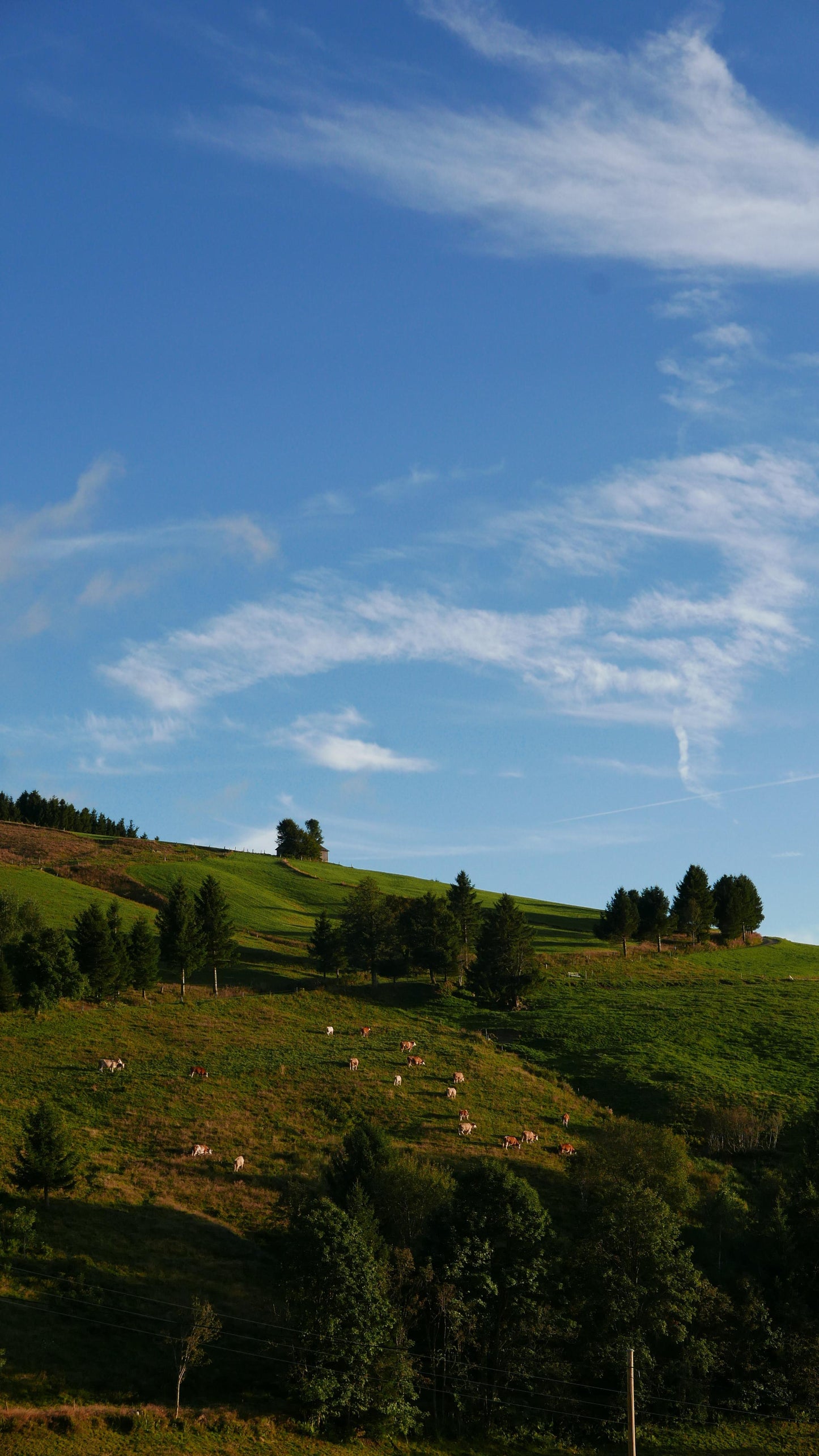 Tour de Schwarzwald 2025